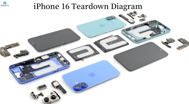 Latest News: iPhone 16 Is Hailed As The Most Repairable Mobile Phone